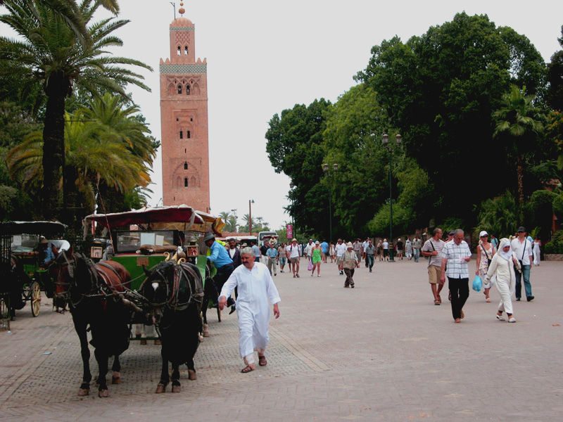 Voyage au Maroc circuit des villes impériales et la route des casbahs