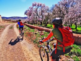 Mountainbike Tour durch Atlas-Gebirge bis in der Wüste